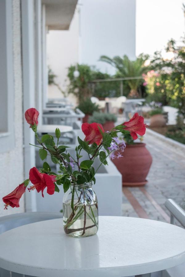 Stefanie Studios Agia Marina Exteriér fotografie